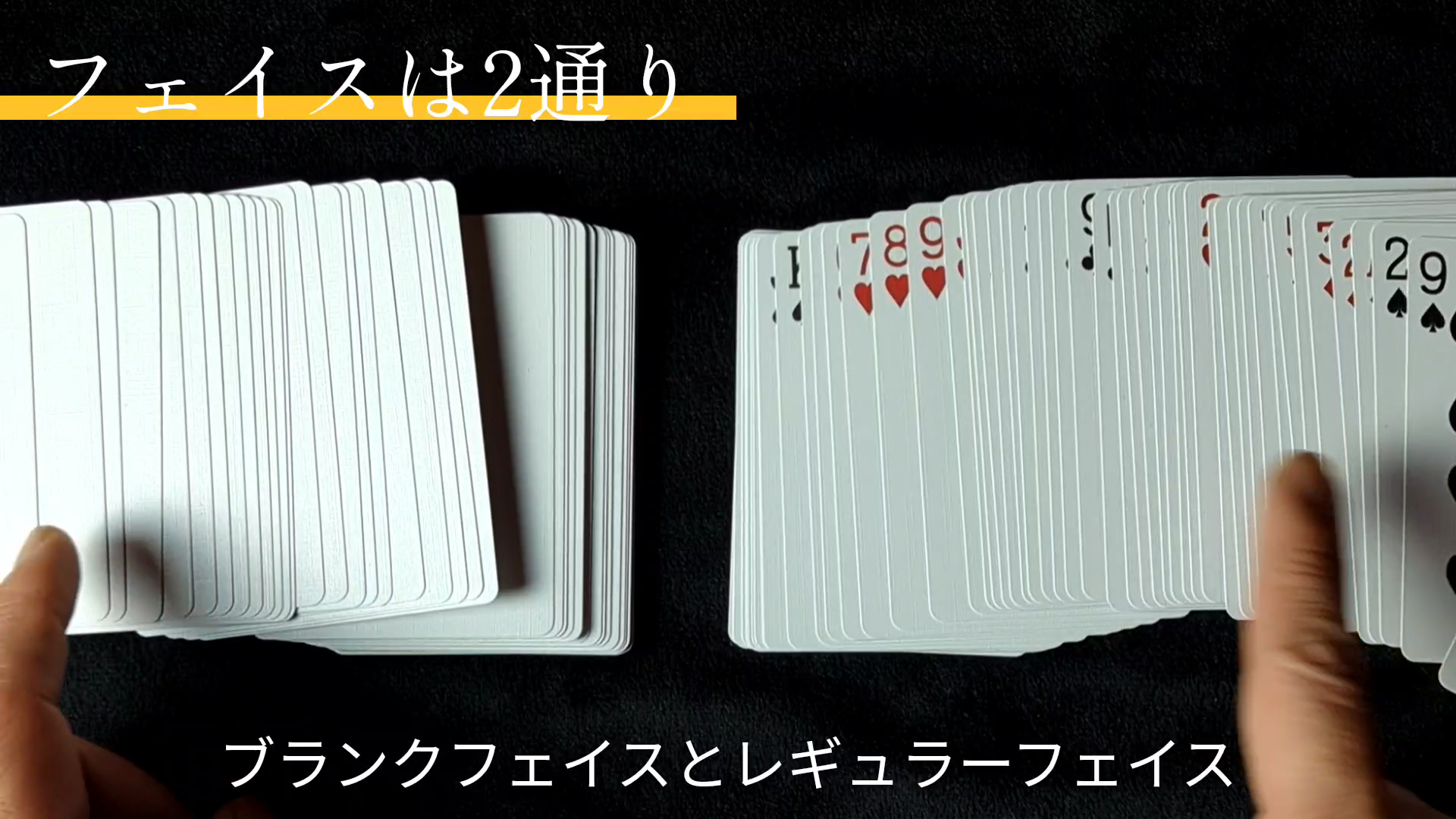 vn20240111_191626.mp4_000054300.png