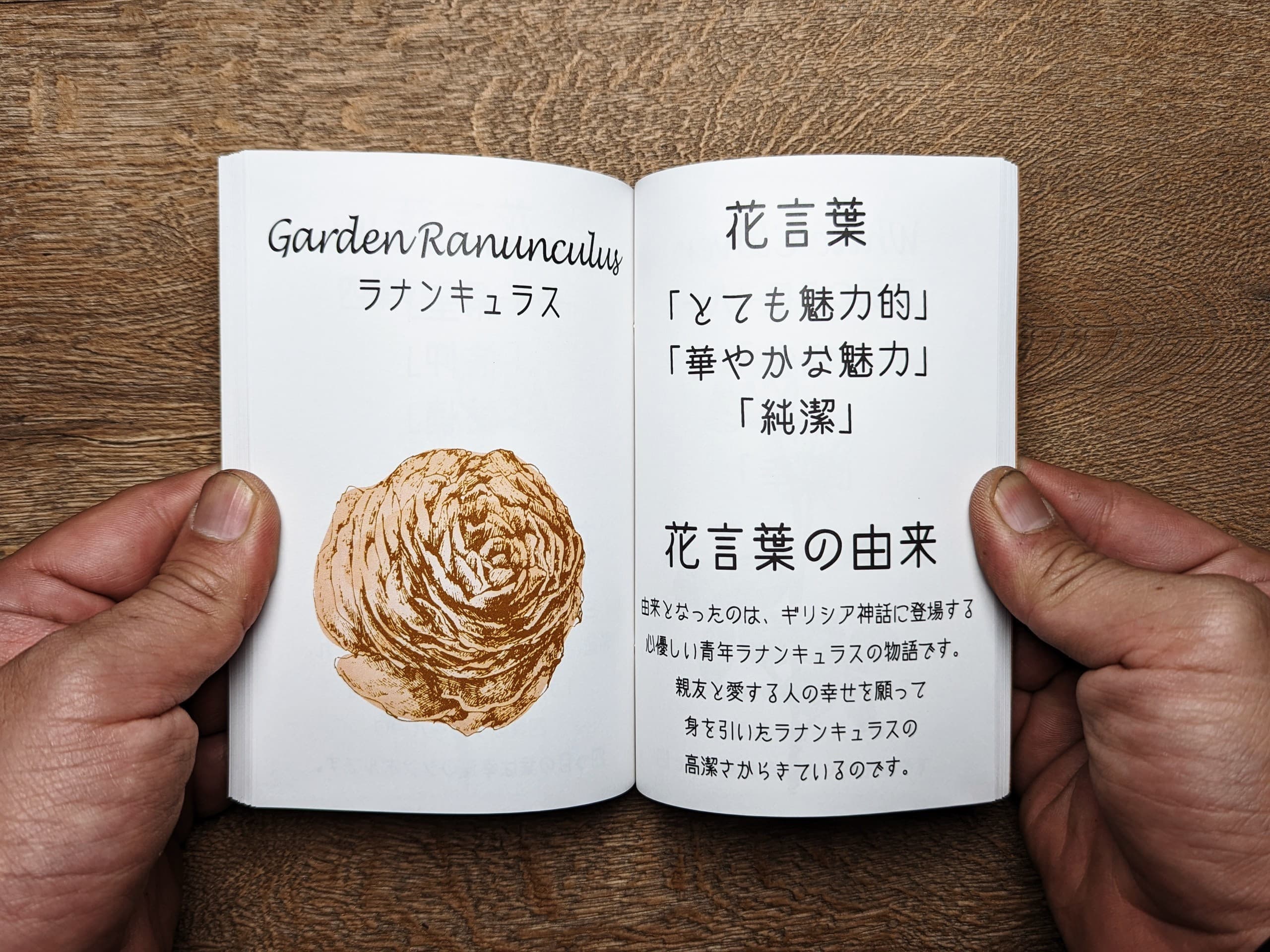 花言葉ブックテスト ストレートマジックショップ 花言葉ブックテスト ストレートマジックショップ